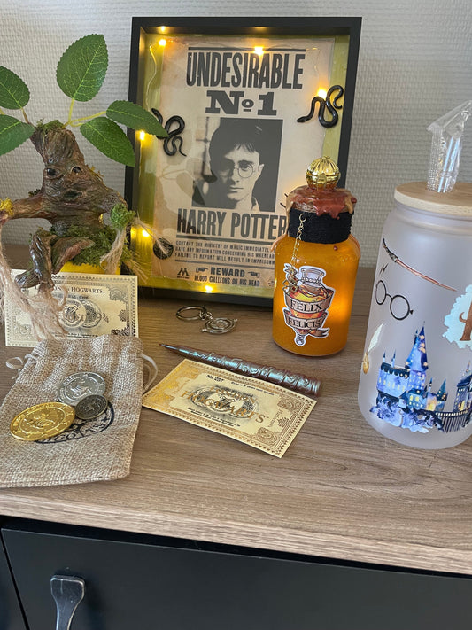 Commande spéciale Harry Potter