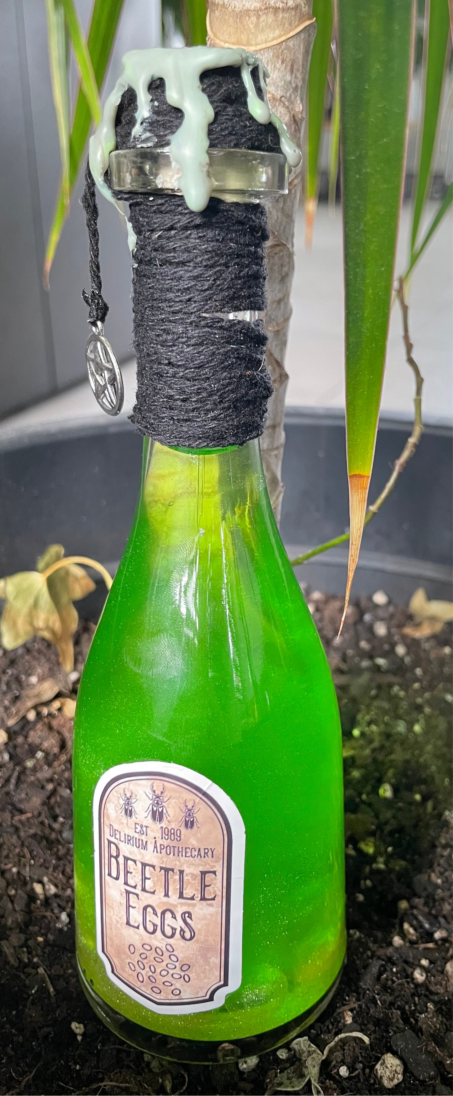 Beatle eggs potion