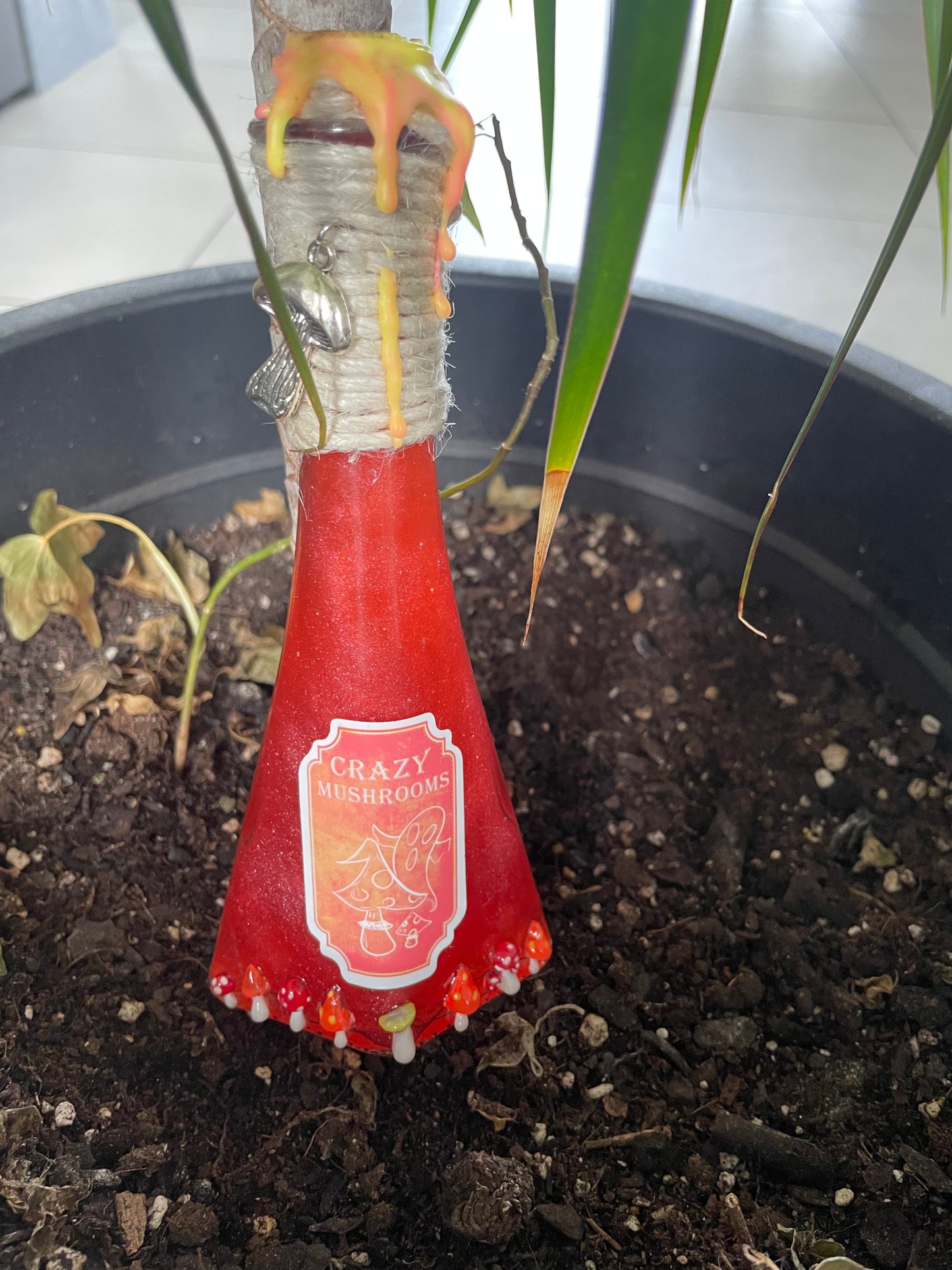 Potion Mushrooms