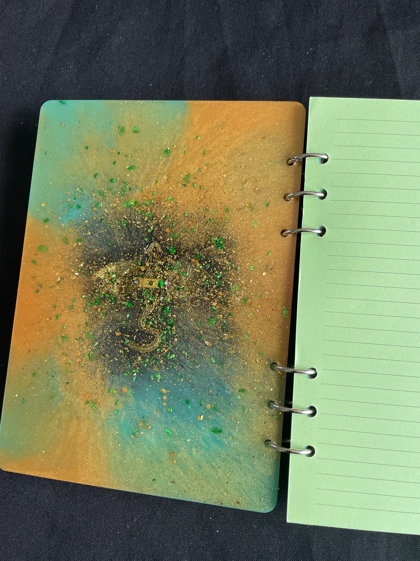 Carnet « Balaur »