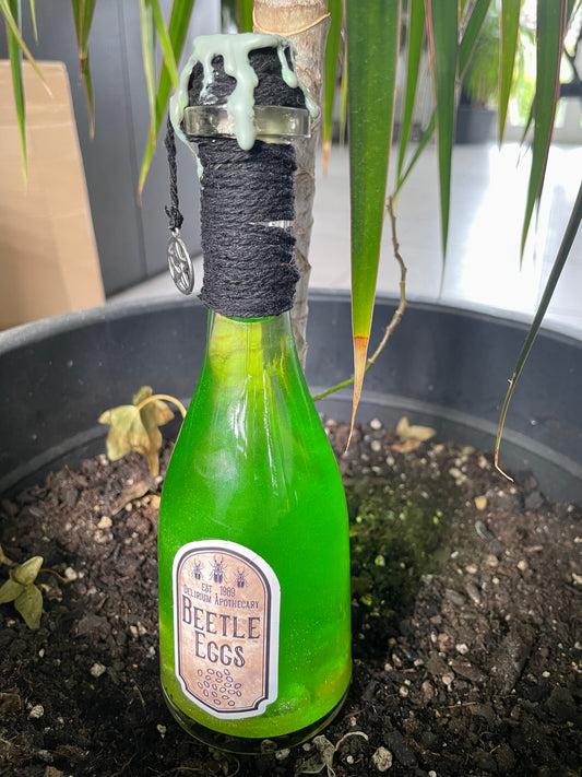Beatle eggs potion