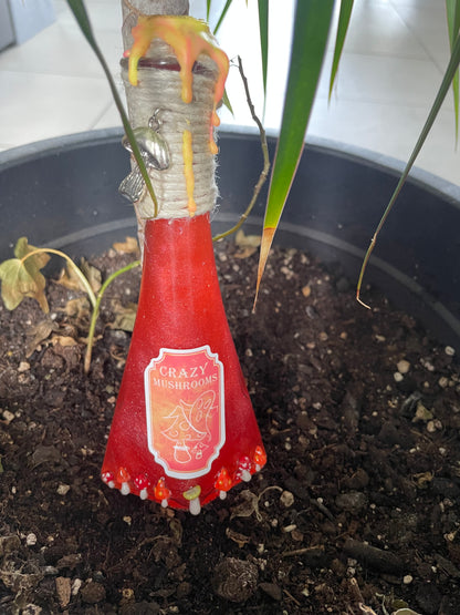 Potion Mushrooms