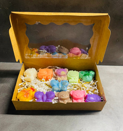 Boîtes de fondants parfumés animaux