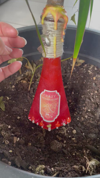 Potion Mushrooms